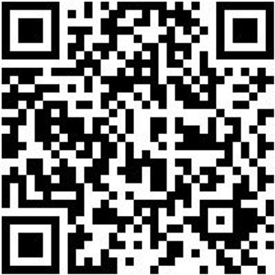 Nageleisen Ngleis-Oval-L600Mm