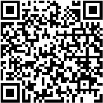 Arbeitsshorts Arbeitsshorts Damen Stretch X 32