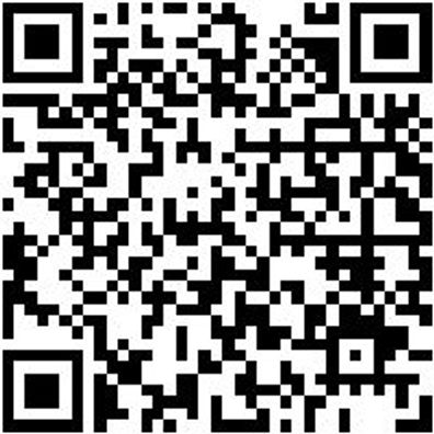 Arbeitsshorts Arbeitsshorts Damen Stretch X 42