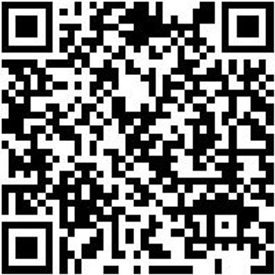 Arbeitsshorts Bermuda Stretch Evolution Schwarz 48