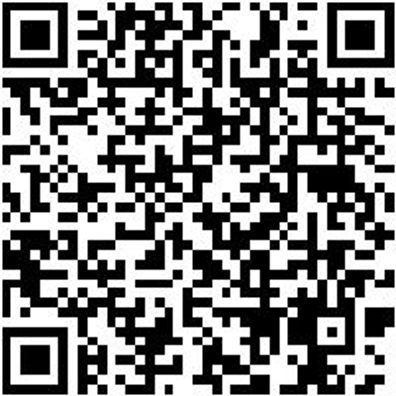 Plattpinsel Plattpins-Lm-Gd-Gr25