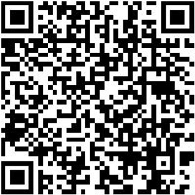 Plattpinsel Plattpins-Lm-Gd-Gr20