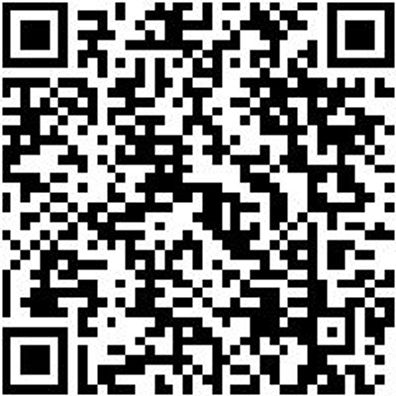 Plattpinsel Plattpins-Dw-Pa-Gbgn-Gr15