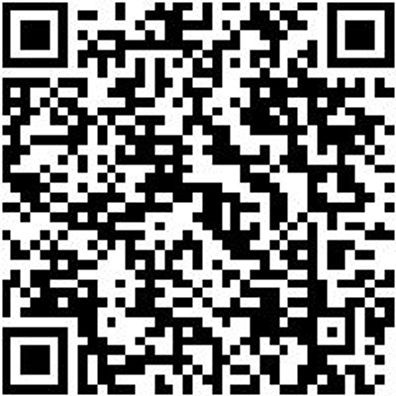 Plattpinsel Plattpins-Dw-Pa-Gbgn-Gr25