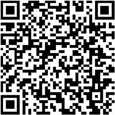 Plattpinsel Plattpins-Wb-Pa-Gbgn-Gr25