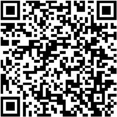 Plattpinsel Plattpins-Wb-Pa-Gbgn-Gr20