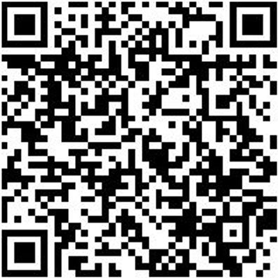 Plattpinsel Plattpins-Lm-Gbgn-Gr20