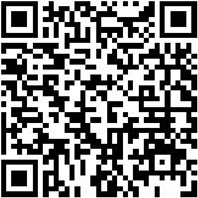 Arbeitsweste Fleece Weste Lynx Schwarz 4Xl