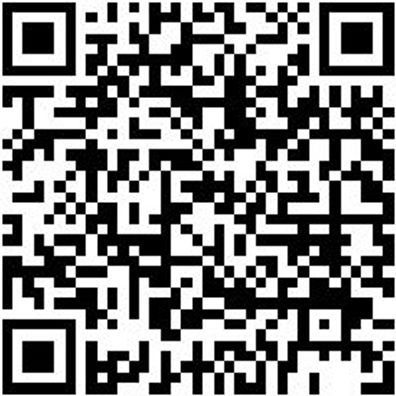 Presszange Zubehör Preseinsa-(F. Hndzang-096706 1)