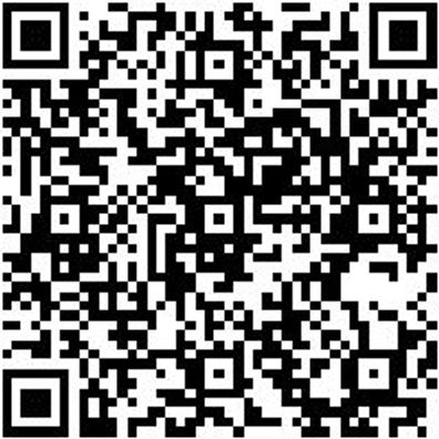 Radlagerwerkzeug Sortiment/Set Radlgrwzg-Sort-Xxl-F. Gro-Pkw-Transporter