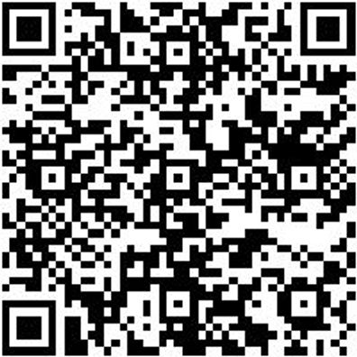 Radlagerwerkzeug Sortiment/Set Radlgrwzg-Set-Uni-F-Kompt-Lgr-Nabe