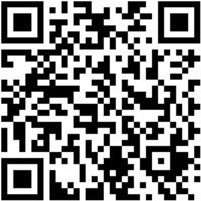 Austreiber Austreib-D2,4Mm