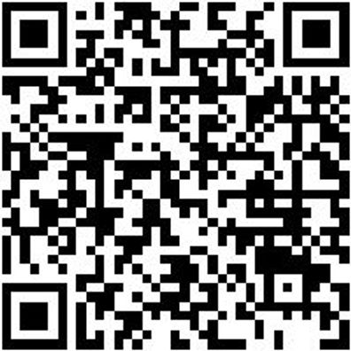 Austreiber Sortiment/Set Austreib-Sa-8Tlg