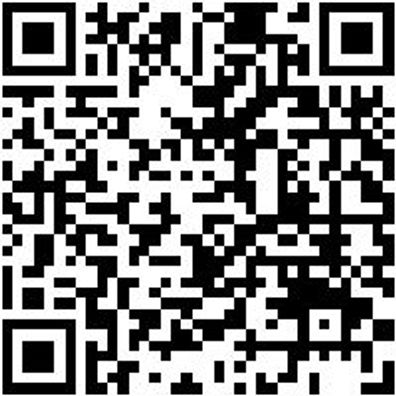 Berufsschuh Ob Ultra X Schwarz/Lime 44