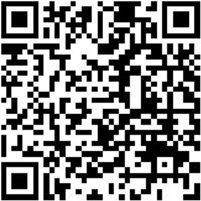 Berufsschuh Ob Ultra X Schwarz/Lime 45