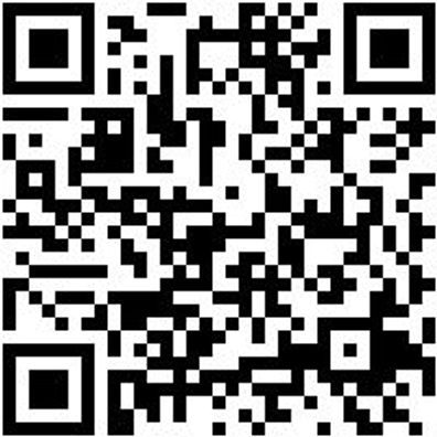 Reifenheber Rfnhbr-Lkw-600