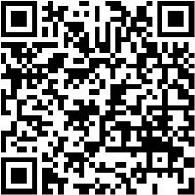 Putzlappen Pulapp-Textil-34X37Cm-250Stk