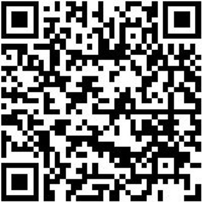 Bit Rw Abtrieb Sortiment Bit-Rigl-Rw-Sort-20/40-8Tlg