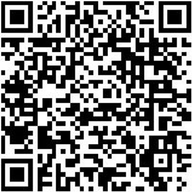 Bit Sicherheit Sortiment Bit-Sih-Sort-(Tt8-Tt40)-29Tlg