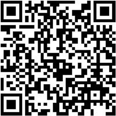 Riemenwerkzeug Zarmnwzg-Prüf-Verslei