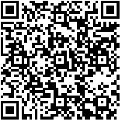 Riemenwerkzeug Sortiment/Set Set Werkzeug Flex - Riemen - 9 Tlg