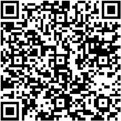 Riemenwerkzeug Sortiment/Set Flex-Riemen Montage-Satz 15Tlg