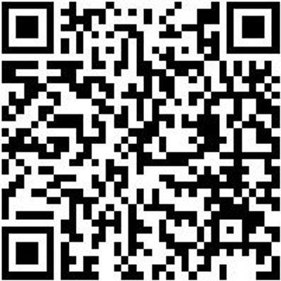 Arbeitspoloshirt Rafi Polo-Shirt Swz Gr. Xxl