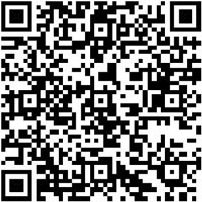 Riemenwerkzeug Sortiment/Set Elastriemen-Set Ford/Volv/Maz 1,2-1,6L