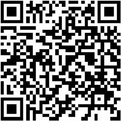 Bit Sicherheit Sortiment Bit-Sih-Sort-Klauenshsl-4Tlg