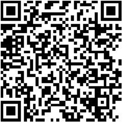 Riemenwerkzeug Sortiment/Set Elastriem-Wzg-Set F. Doppel-Riemenshb