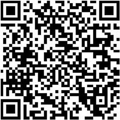 Riemenwerkzeug Sortiment/Set Rmnwzg-Set-Nebenantriebsriemen