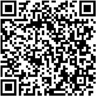 Riemenwerkzeug Sortiment/Set Rmnwzg-Gegenhalter-Set-Bmw