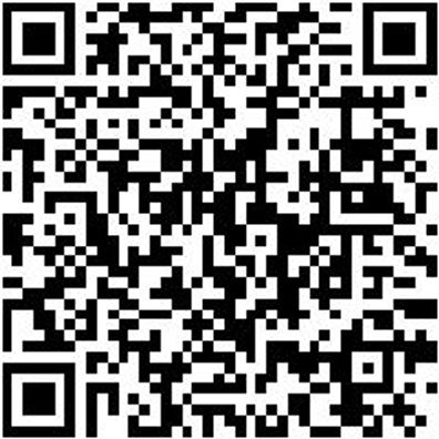 Riemenwerkzeug Sortiment/Set Abzi-Sort-Rmn-Rad