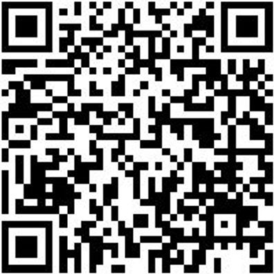 Bit Sicherheit Sortiment Bit-Sih-Sort-4Kt-(Gr1-4)-4Tlg