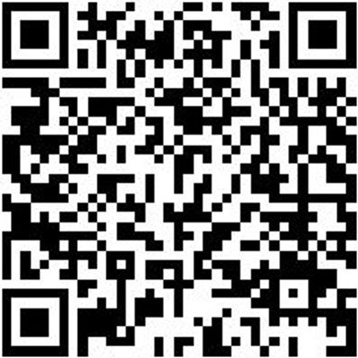 Bithalter Schnellwechselfutter Halt-Bit-Magn-1/4Zo-L350Mm