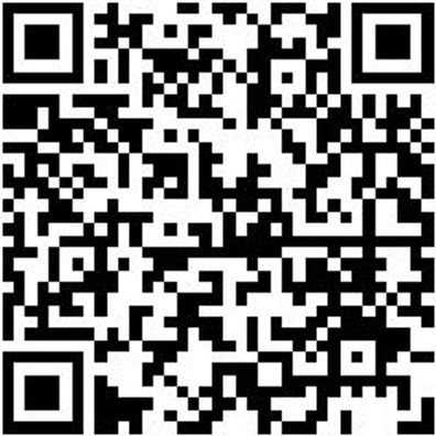 Bit Sortiment/Set Gemischt Bit-Rigl-Set-Pz/Sz-8Tlg