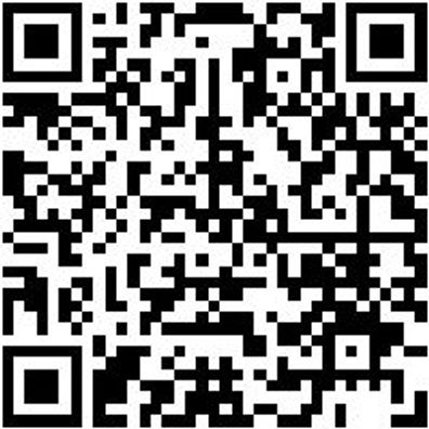 Bit Sortiment/Set Gemischt Bit-Rigl-Set-Ph/Pz/Tx/6Kt-8Tlg