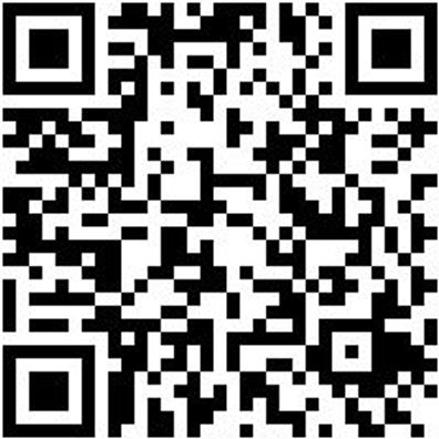 Bodenlegerkelle Bodlegerkel-90X800Mm