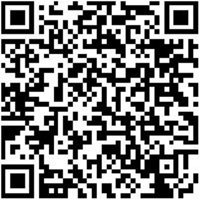 Ringmaulschlüssel Sortiment Rgmaulshsl-Sort-11Tlg