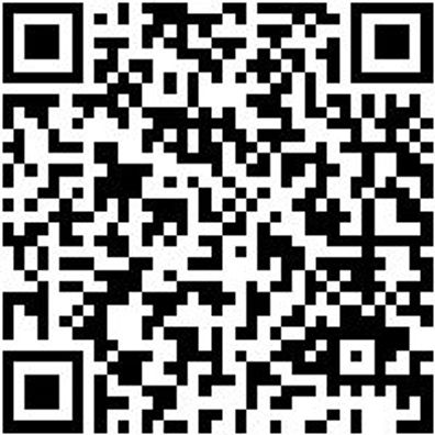 Bitknarre 1/4 Zoll Bitknar-1/4Zo-L100Mm