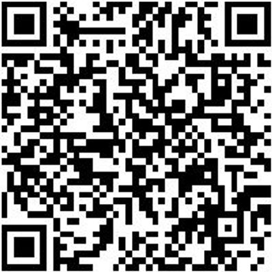 System-Sortiment System-Boxen Boxsort-Slshrnk16.8-24Fach-H114