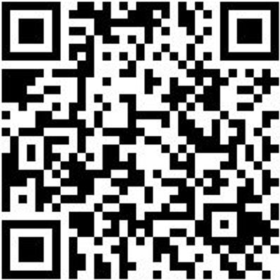 Bodenlegerkelle Bodlegerkel-90X450Mm