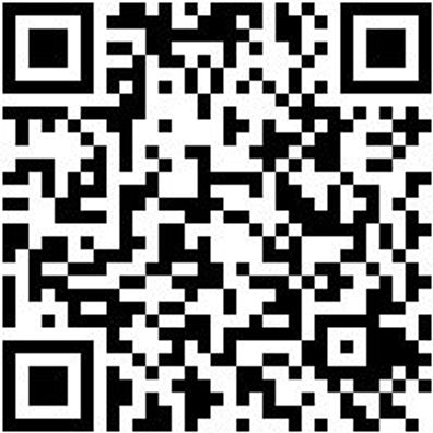 Bodenlegerkelle Bodlegerkel-90X600Mm