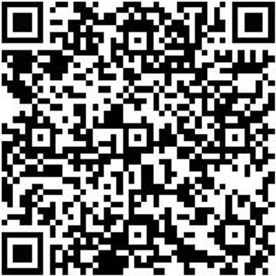 Saalbesen Bsn-Saal-Arenga-L400Mm