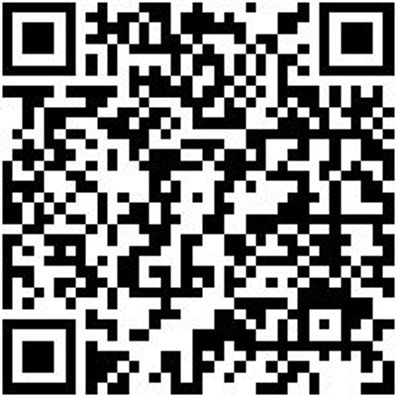 Saalbesen Bsn-Saal-Industrie-L400Mm