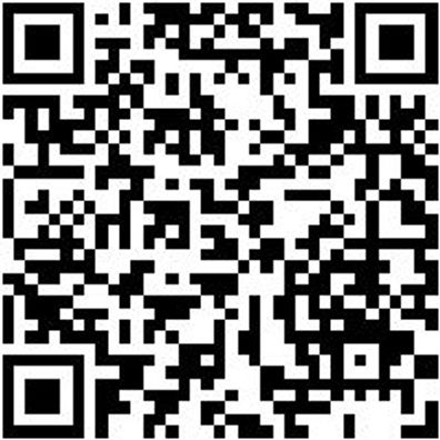 Saalbesen Bsn-Saal-Elaston-L400Mm