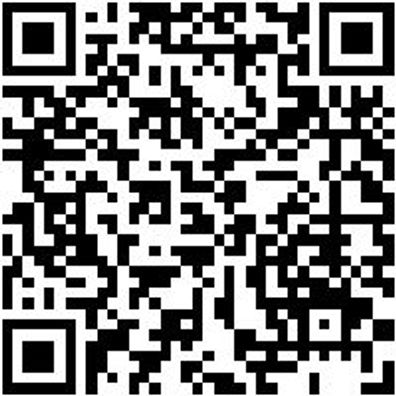 Saalbesen Bsn-Saal-Elaston-L800Mm