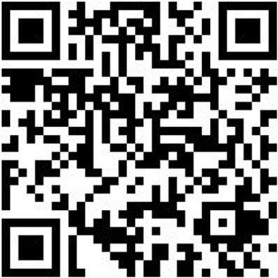 Saalbesen Bsn-Saal-Kokos-L800Mm