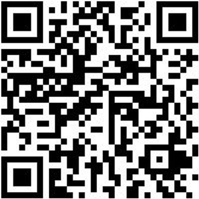 Saalbesen Bsn-Saal-Kokos-L1000Mm