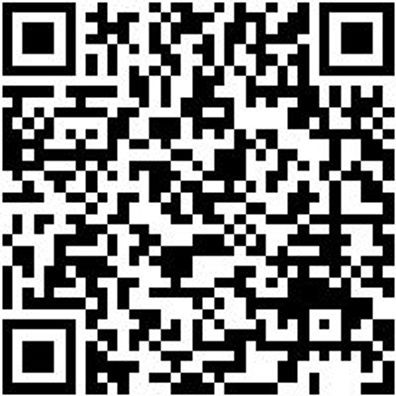 Saalbesen Bsn-Saal-Weich/Hart-Gruen